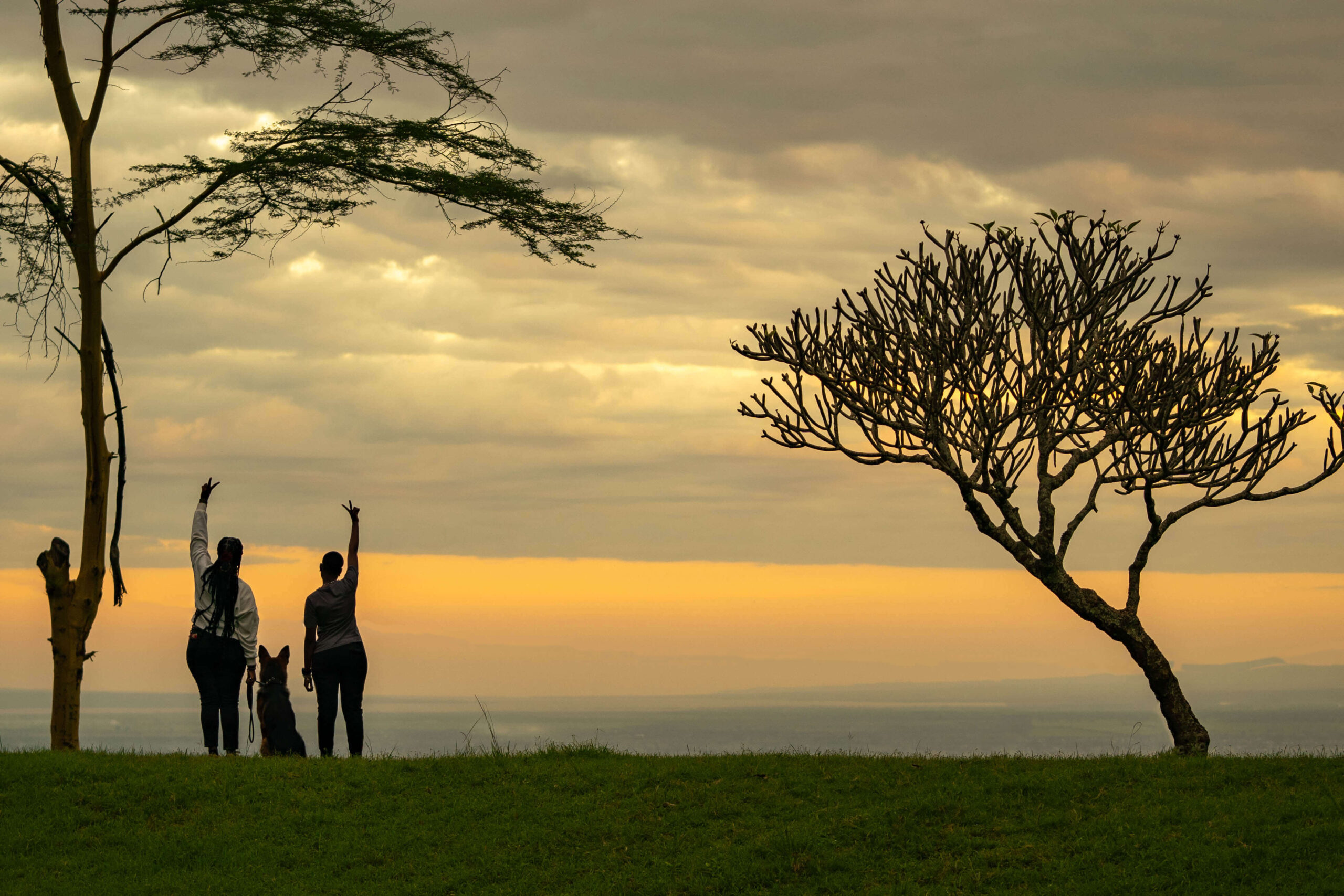 From Quantity to Quality: Reclaiming Pedigree Breeding in Tanzania