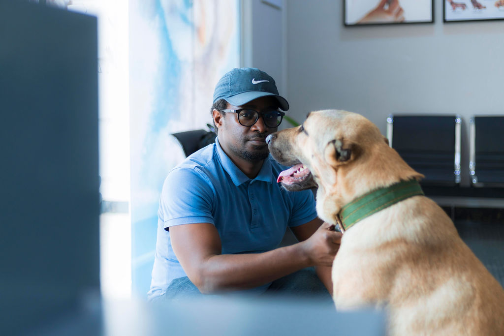 How to Spot, Treat, and Prevent Hot Spots in Pets